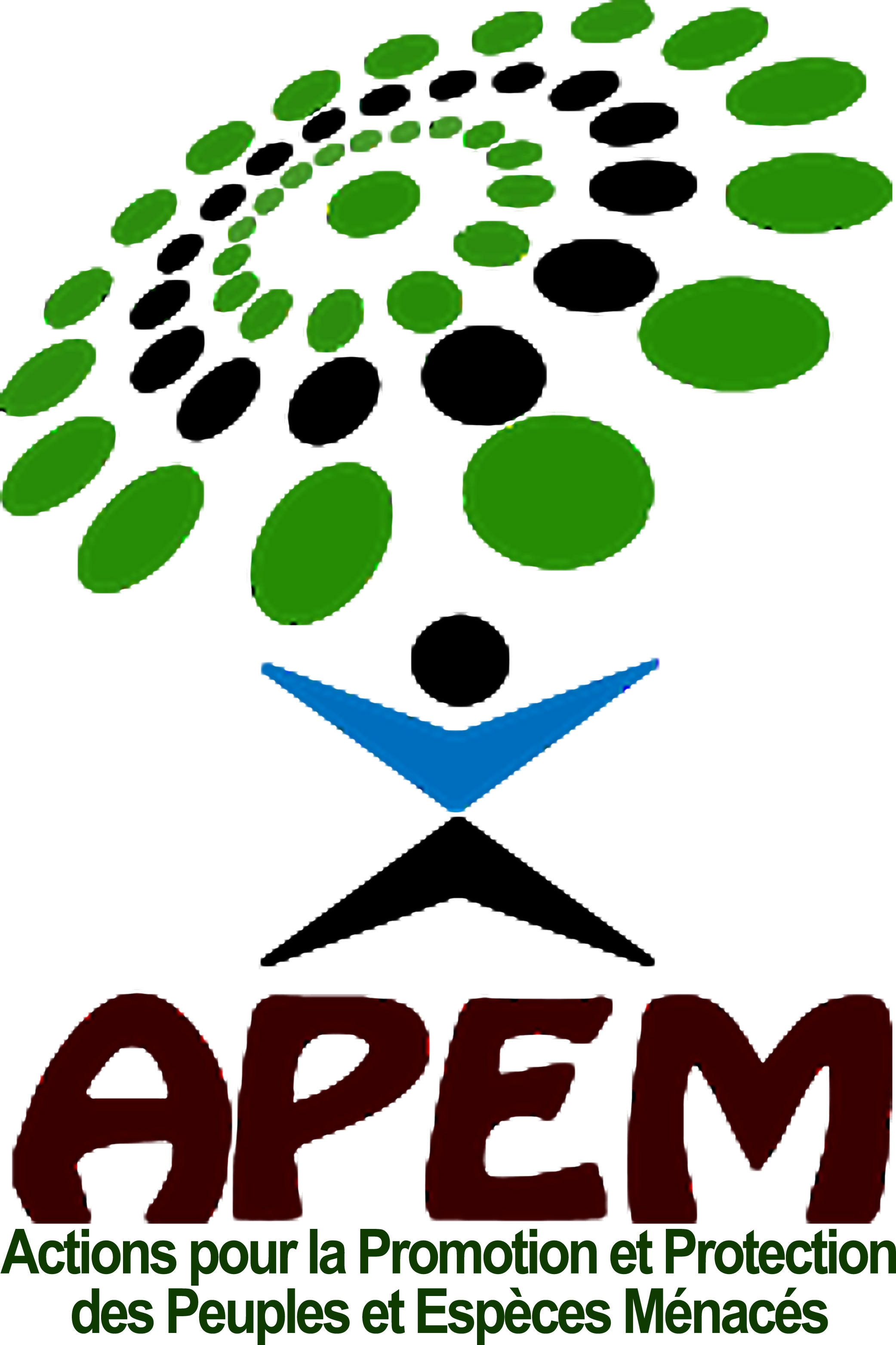 Actions pour la Promotion et Protection des Peuples et Espèces Menacés (APEM)